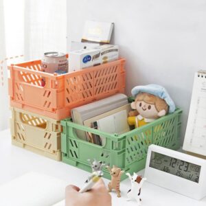 Mini Organizador Plástico Container