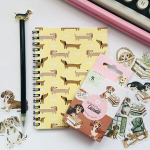 Kit Namorados Cachorro Salsicha